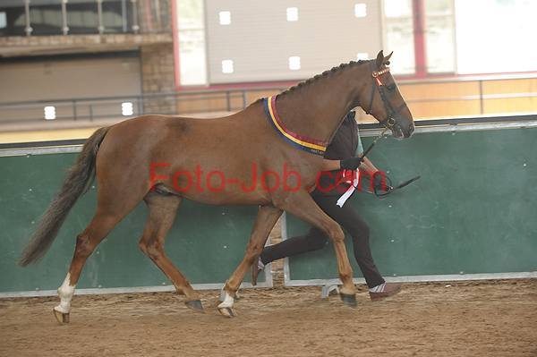 Preview 14_CF3_2121.jpg